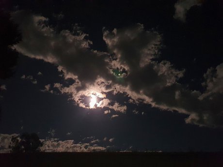 Sara Shelby onlyfans leak naked