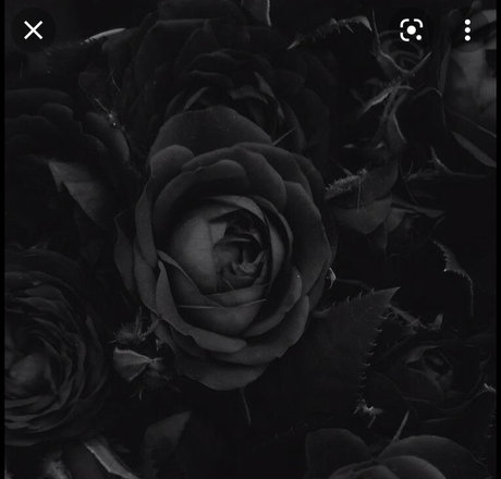 Santeria onlyfans leaked nude