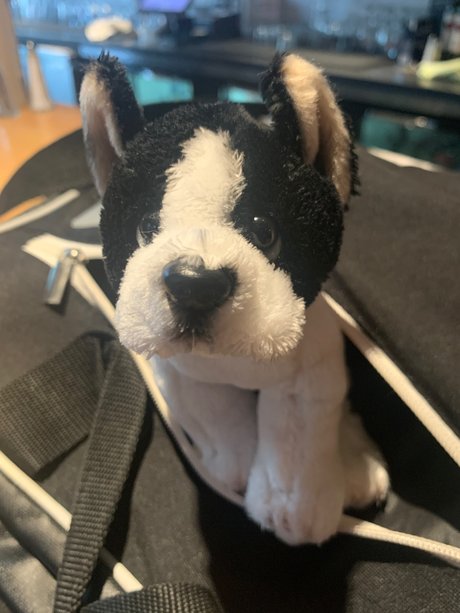 Grey Sweatpants Boy porn onlyfans leaks