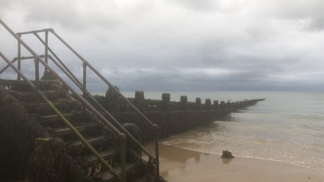 Your Queen Addi onlyfans nude