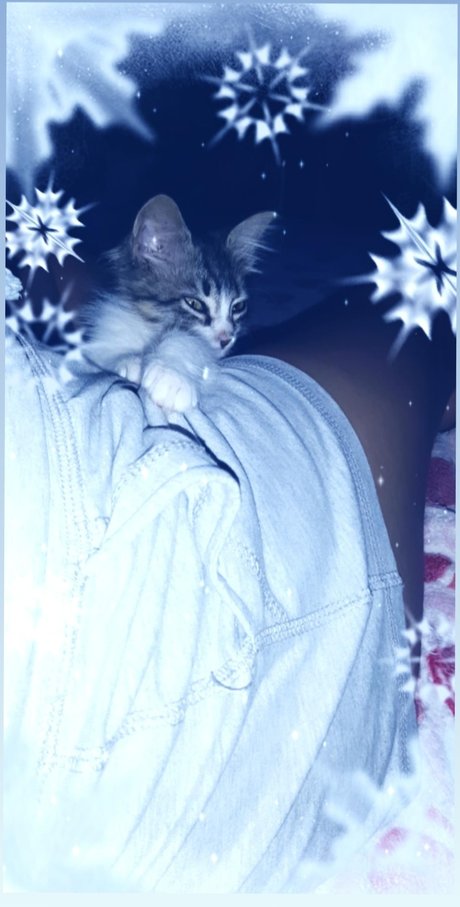 Lulita new onlyfans leaks