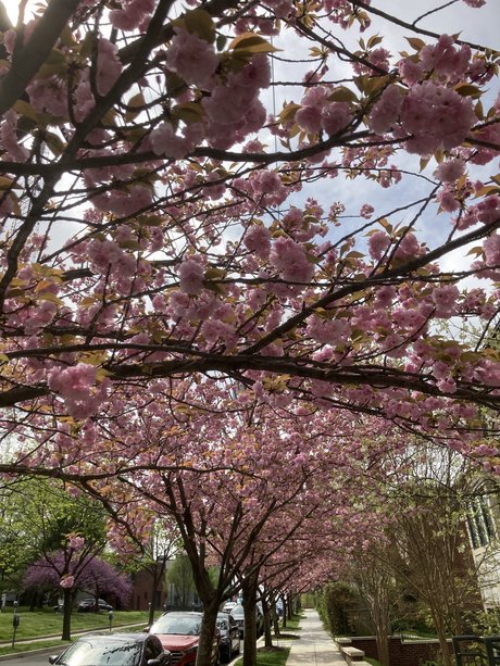 Riley Leigh en onlyfans