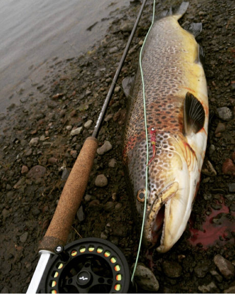 OnlyFish naked onlyfans pics