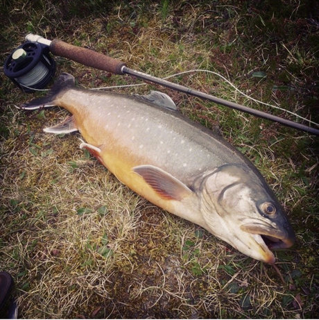 OnlyFish onlyfans nude content