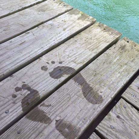 Miss Piggy s_ leaked onlyfans pics