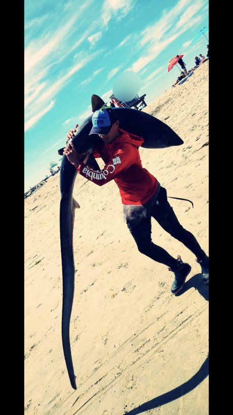 The Shark Sniper nude leaked onlyfans