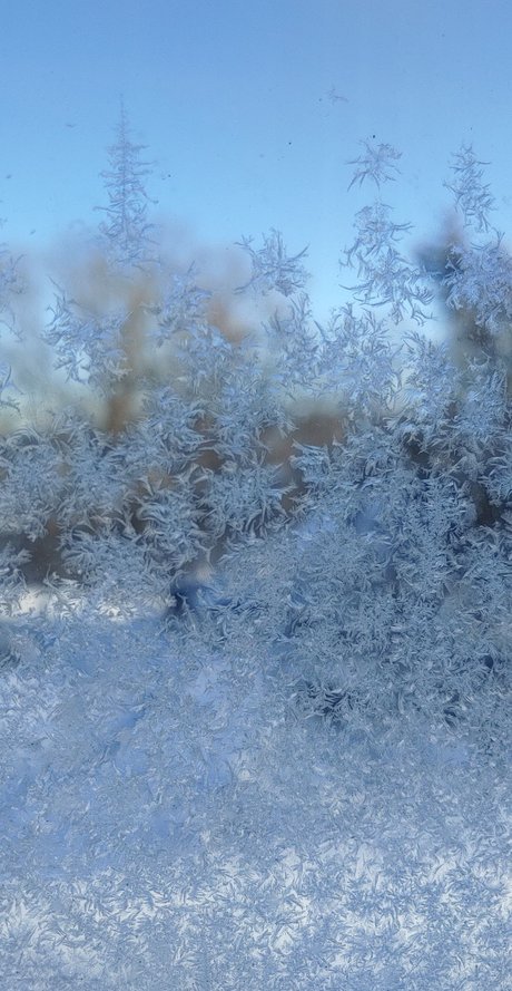 Miss Mallory onlyfans model photo