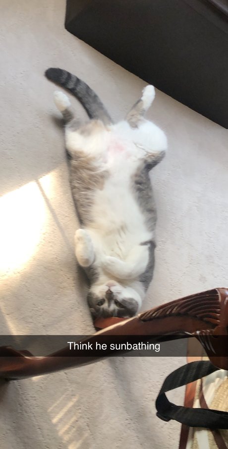 Yo Boi onlyfans post