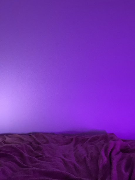 TheLittlePrince onlyfans star