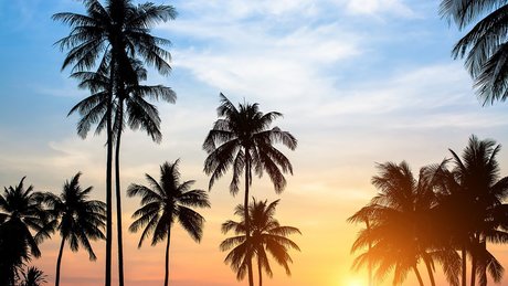 The Mandingo Club XXX VIP PREMIUM_ onlyfans nudes