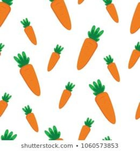 Thee Bunny fans only