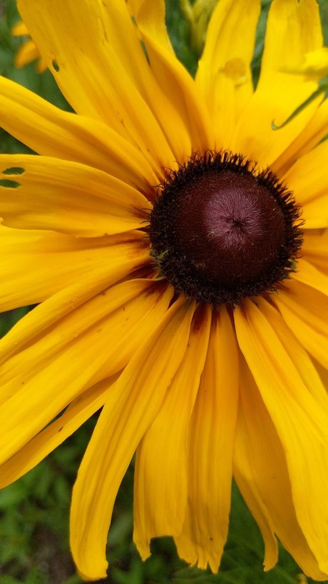 T free_ onlyfans nude pictures