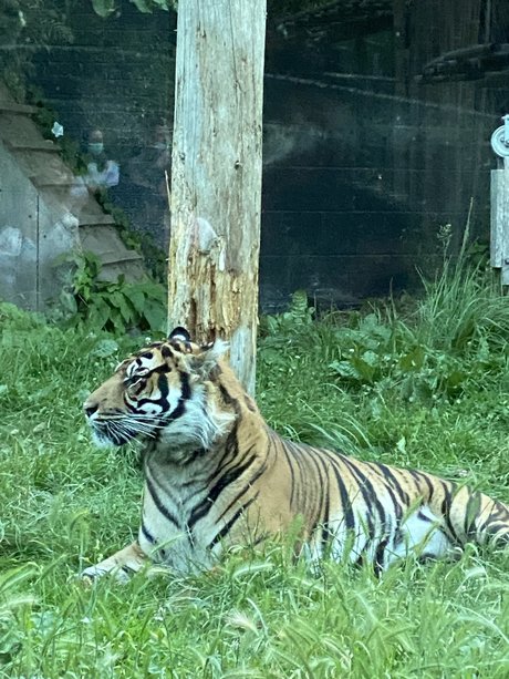 YRLA onlyfans nude tits