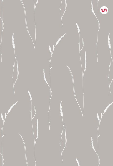 Gracie Lynn No PPV_ naked leaked onlyfans