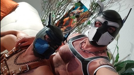 True Bare Bears onlyfans naked