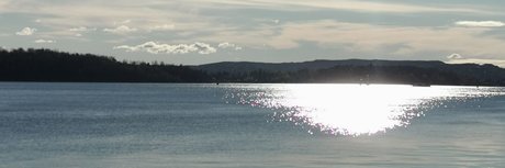 Summerflare_ onlyfans porn