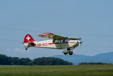 Benjamin B TridensPicturae onlyfans porn