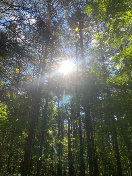 Marc Harrington leaked onlyfans sextape