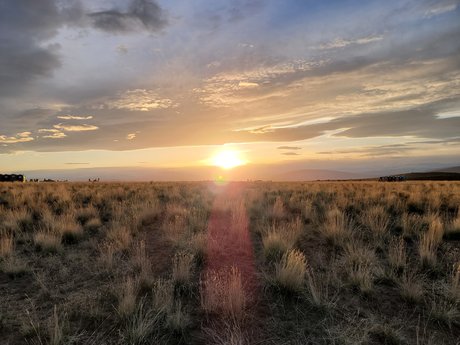 Fusionho onlyfans sextape leak