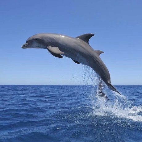 Jellyfishinnut onlyfans naked leaked