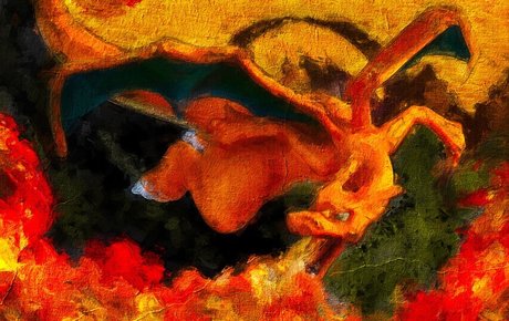 Ozzie onlyfans leak nudes