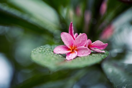 Zippy Lomax onlyfans lean