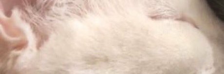 ivan pero en cuarentena onlyfans nude leak