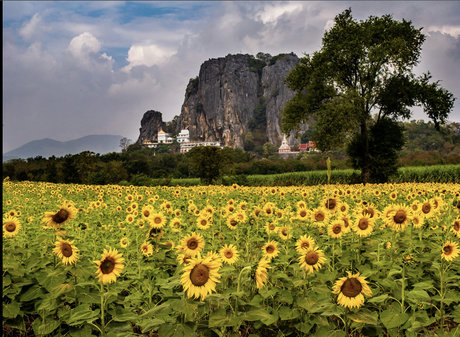 Elizabeth Faith onlyfans naked leak