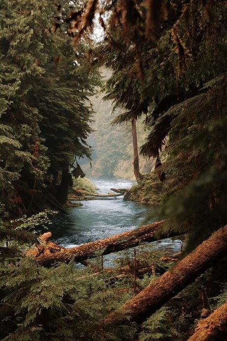 Kohl World onlyfans porn nude