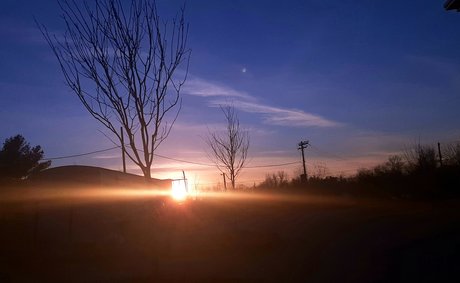 Frank n Weenie boobs onlyfans