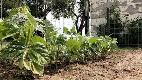 Kora Ellen fans only