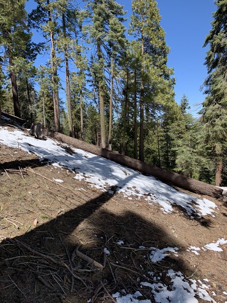 Damien and Lewis only fans leaks