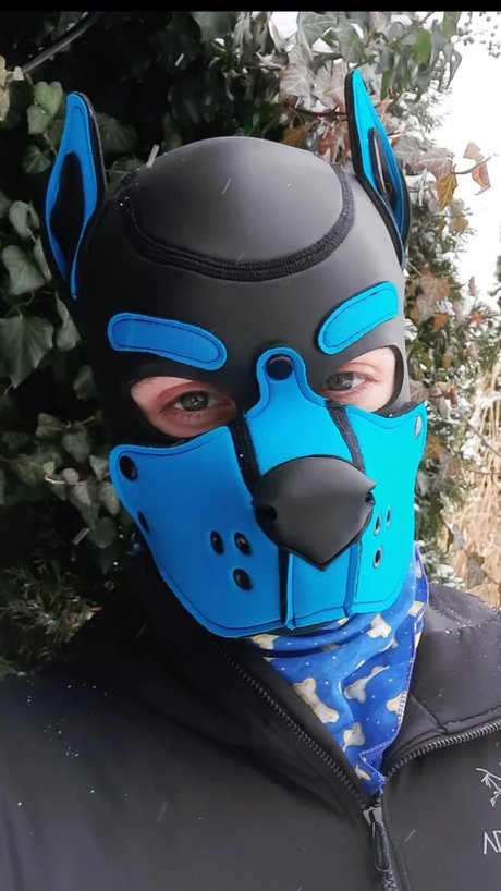 Otter Pup joi onlyfans