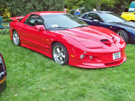 Waldo onlyfans free content