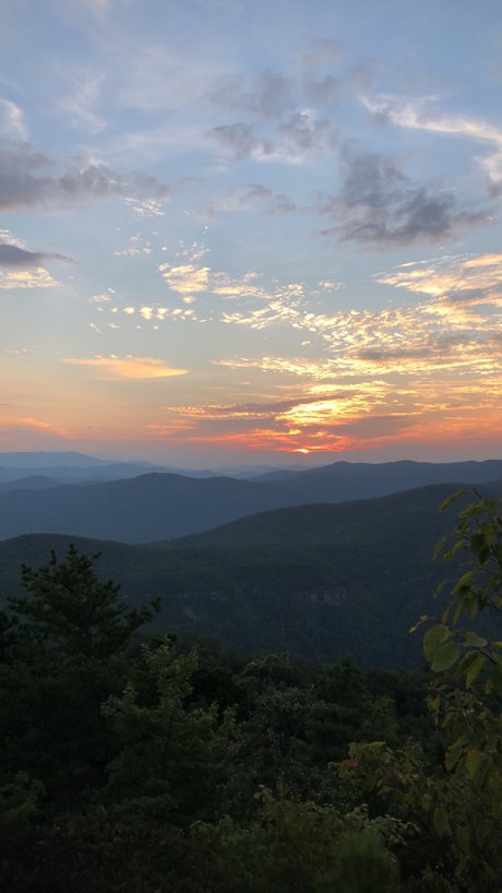 Sophia Morgan onlyfans leak nude