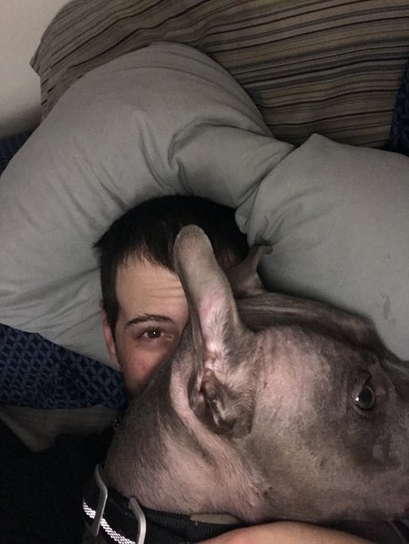 Someguy3e leak only fans