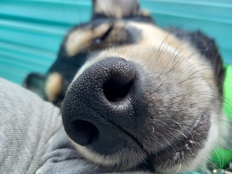 Sydney Schaub leaked onlyfans photos