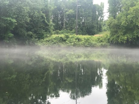 FrankieFFuxxx leaked nudes onlyfans