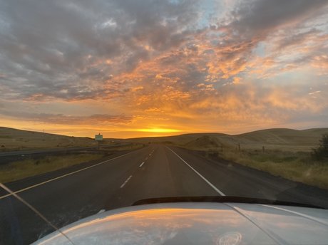 Papabear nude onlyfans pics