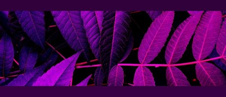 Soda Ghoul naked onlyfans