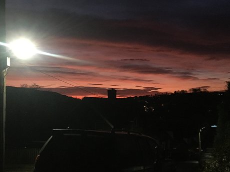 Sophia Brown onlyfans nudes