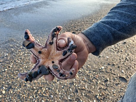 Lui onlyfans leak porn