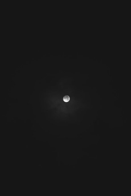 Felipe D Morquecho sexy onlyfans