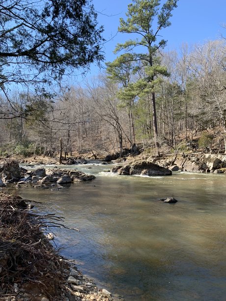 Imjusttipsy only fans nude leaks