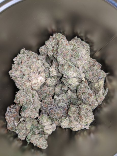 Jager1029 naked onlyfans