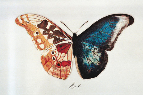 oscar peter is on onlyfans