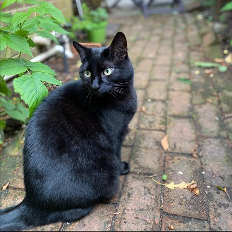 Oakley onlyfans leaks