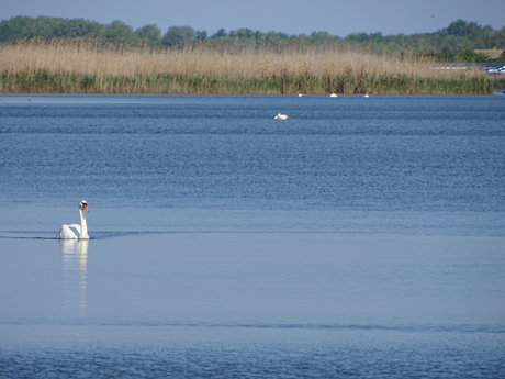 It is real_ leaked naked onlyfans