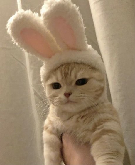 nuriadelavega onlyfans content leaked