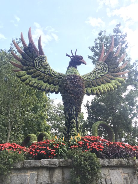 Certified Lover Boy onlyfans model images